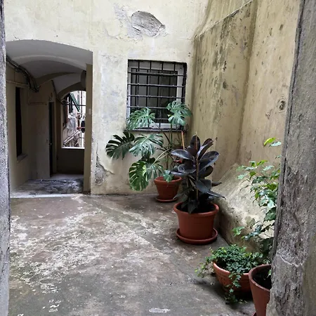 Cittadella 3 *